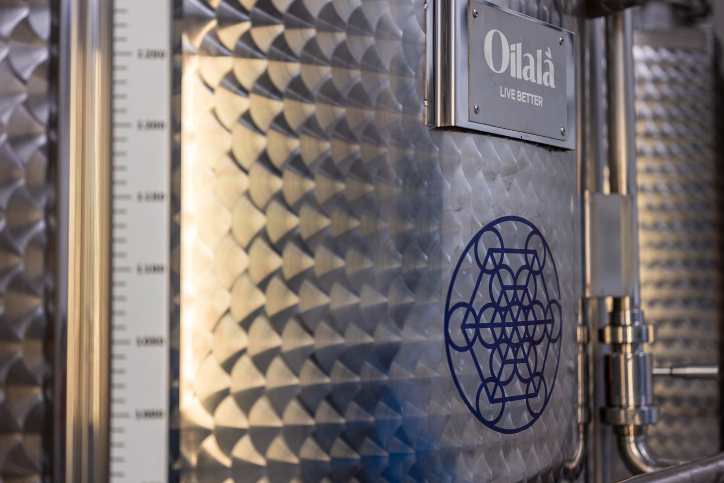 Imported Olive Oil from Italy- Intosso Olive (Abruzzo)