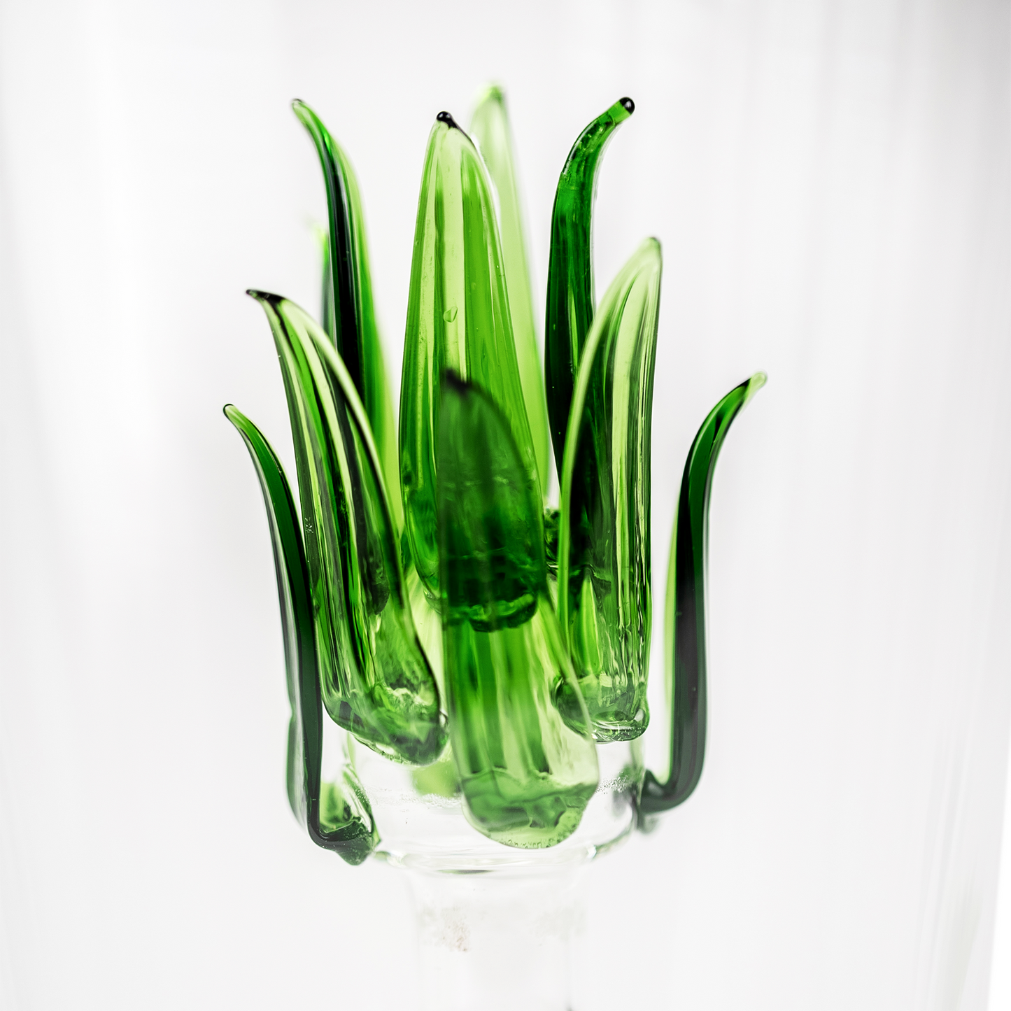 Tequila Decanter Tequila Glasses Set with Agave Decanter and 6 Agave Shot Glass With Stand, Perfect for Gifts for Tequila Lovers, 750mL Bottle, 3 OZ Shot Glass Party Decorations Cinco De Mayo (Agave)